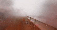 lunitedempire fck kaiserslautern 1900 ludwigshafen GIF