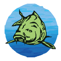 Catchandrelease Ryba Sticker by chytapustcz