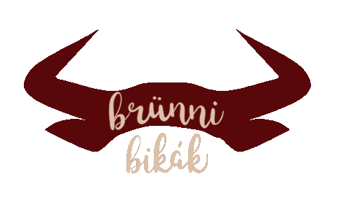 Dh Brunn Sticker by Diákhálózat