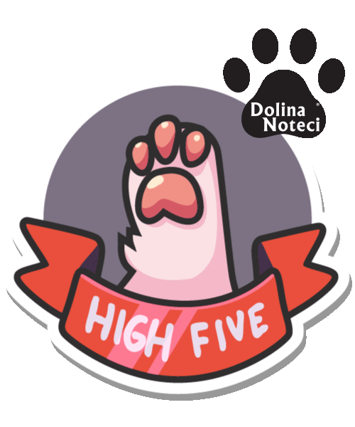 Dog Love Sticker by Dolina Noteci