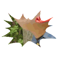 Winter To Spring Slide Sticker by OPCD