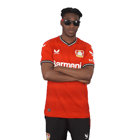 Football Sun Sticker by Bayer 04 Leverkusen