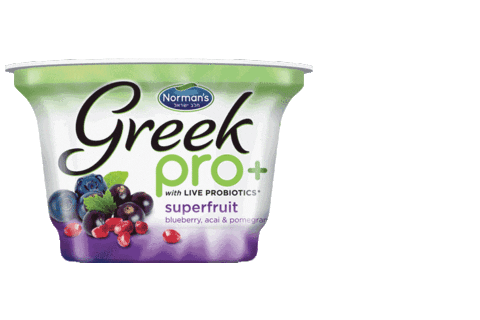 Greek Yogurt Sticker by Norman's Dairy