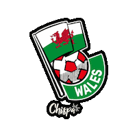 Vamos Lets Go Sticker by Chispa App