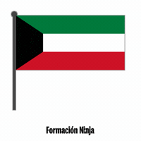 Flag Bandera GIF by Formación Ninja