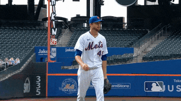 Ny Mets Smile GIF by New York Mets