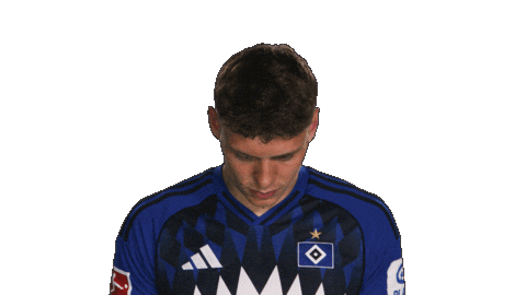 Look Up Hamburger Sv Sticker by Bundesliga