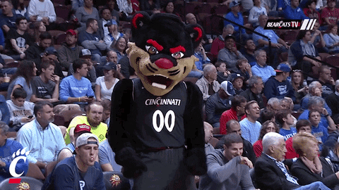 cincinnati bearcats dance GIF by University of Cincinnati Athletics