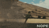 Keke Palmer Steven Yuen GIF by NOPE