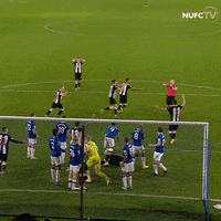 Newcastle United Celebration GIF by Newcastle United Football Club