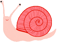 Shell Snail Sticker