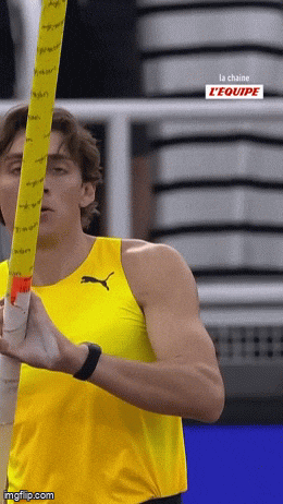 elfanno giphyupload GIF