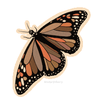 kateyrose butterfly kateyrose kateyrosestationery Sticker