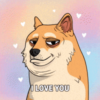 I Love You Hearts GIF by Doge Pound