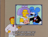 the simpsons episode 24 GIF