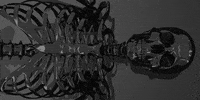animation art GIF by Loxel