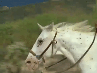 hey dude nicksplat GIF