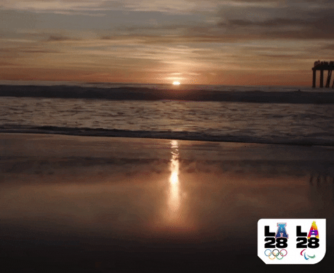 GIF by LA28 Games