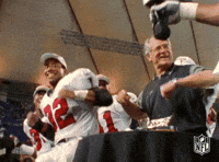 atlanta falcons football GIF by NFL