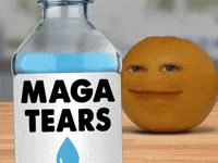 Sad Right Wing GIF