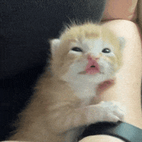 Tired Good Morning GIF