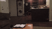 Clever Dog Has Drink Delivery Routine Down Pat GIF by ViralHog
