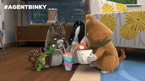 Cat Dog GIF by Treehouse Direct