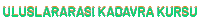 Seltek simge seltek seltekgroup seltekestetik Sticker