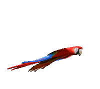 Costa Rica 3D Sticker by NFuerza