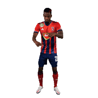 Vidi Sticker by MOL Fehérvár FC