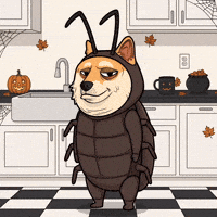 Dressing Up Shiba Inu GIF by Doge Pound