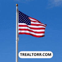 Real Estate Usa GIF by Trealtorr