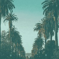 LAvsHate california la los angeles hate GIF