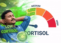 Bjp Annan GIF