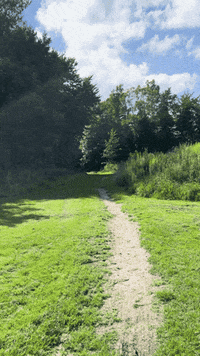 Travel City GIF