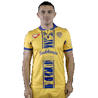 Dac 1904 Football Sticker by Fortuna Liga