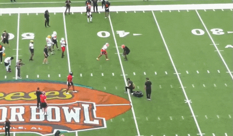 theriotreport giphyupload GIF