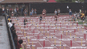 track and field running GIF by RunnerSpace.com