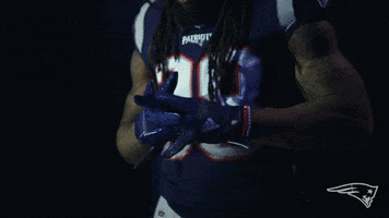 Brandon Bolden Football GIF by New England Patriots