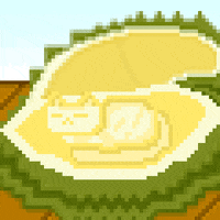 eynmaginaire cat ginger ollie ollie the cat GIF