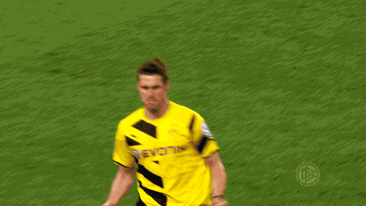sebastian kehl bundesliga GIF by Borussia Dortmund