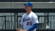 ny mets yes GIF by New York Mets