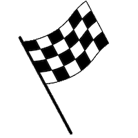 PPSocial racing flag cars ppd Sticker
