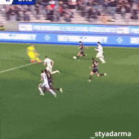 Sassuolo Calcio GIF