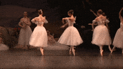 Enbsylphide GIF by English National Ballet