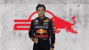 Red Bull Sport GIF by Oracle Red Bull Racing