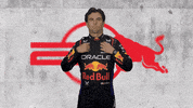Red Bull Sport GIF by Oracle Red Bull Racing