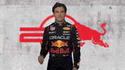 Red Bull Sport GIF by Oracle Red Bull Racing