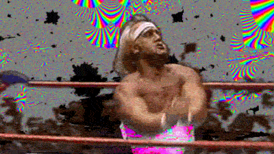 Hulk Hogan Wwe GIF by The NGB