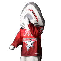Hockey Nhl Sticker by Koelner Haie